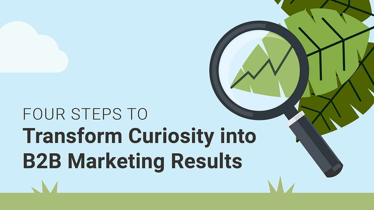 Four Steps to Transform Curiosity into B2B Marketing Results