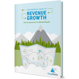 The Essential Guide to Revenue Growth