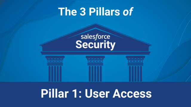 User access and Salesforce Security