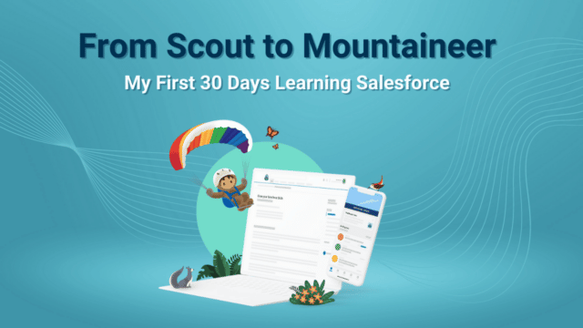 The First 30 Days Learning Salesforce