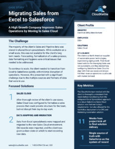 Case Study - migrating sales from excel to Salesforce