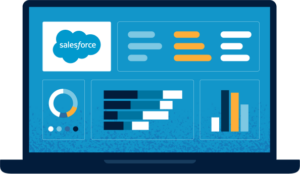 Salesforce Audits for Enterprise